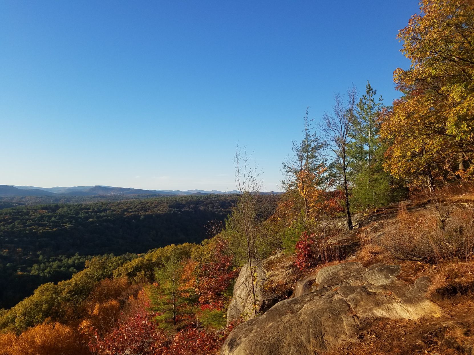 Fall foliage